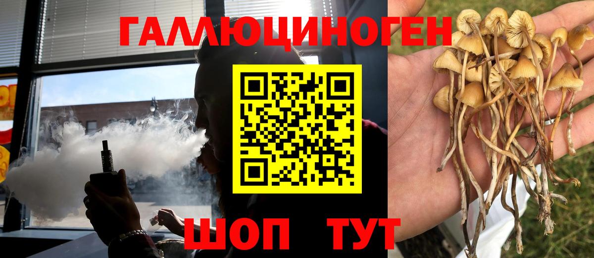 Галлюциногенные грибы Cubensis Благодарный