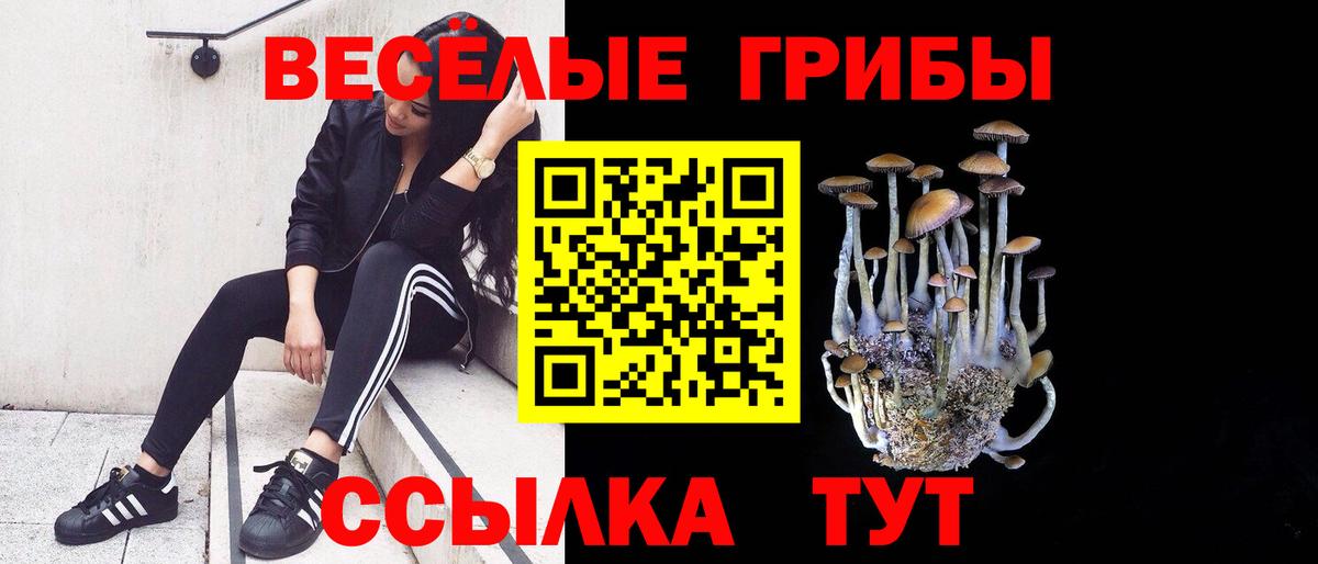 Псилоцибиновые грибы MAGIC MUSHROOMS  Вход с VPN  Благодарный 